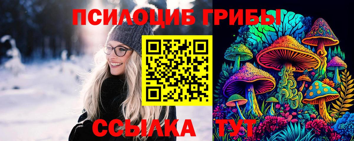 Галлюциногенные грибы Psilocybine cubensis  Вход с VPN  Новороссийск 